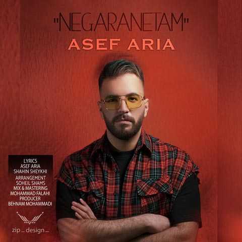 Asef Aria Negaranetam